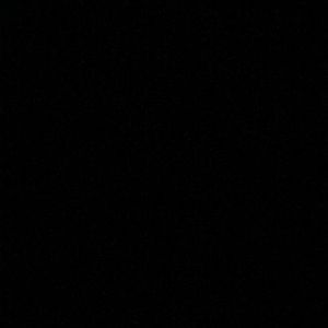 Meet your Posher, Zia